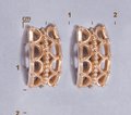 Серьги С41212