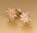 Серьги гвоздики С40953