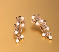 Серьги длинные С1650