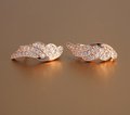 Серьги с камнями С110305