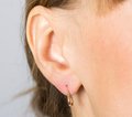 Серьги С106д