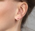 Серьги с камнями С874