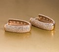Серьги с камнями С310390