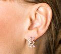 Серьги с камнями С40942