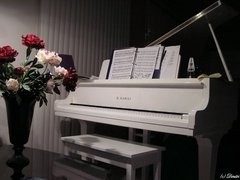 Музыка, золото и шампанское