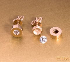 Серьги ЛЮБОЙ КАПРИЗ