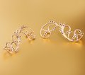 Серьги с камнями С1620